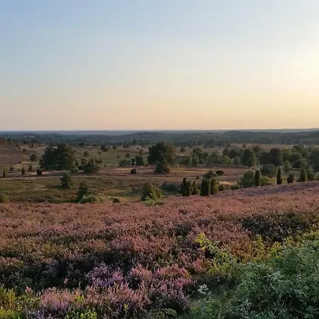Ferienwohnung Parkblick Soltau Zewnętrze zdjęcie